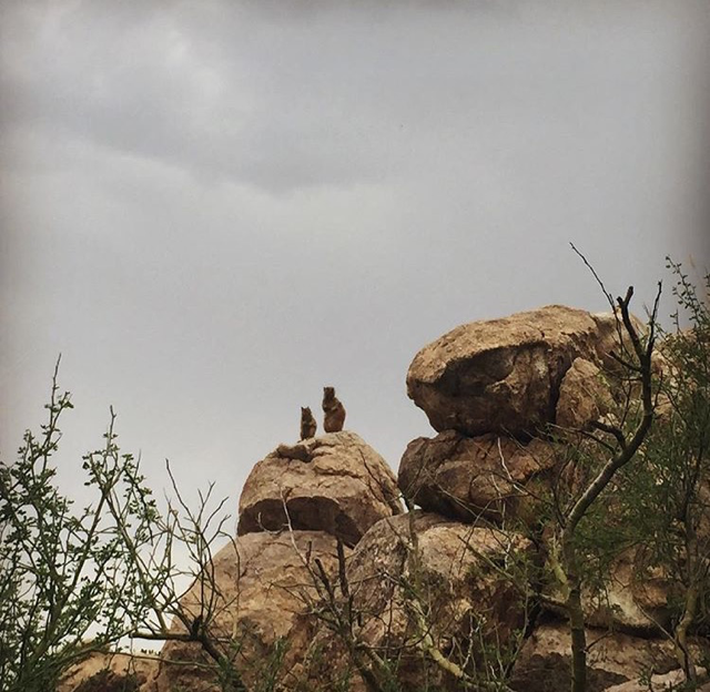 Old Pueblo shutterbugs